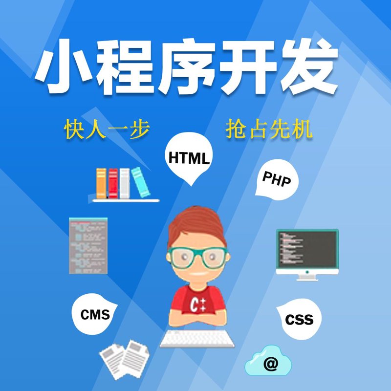 小程序开发：构建未来商业生态的一扇窗